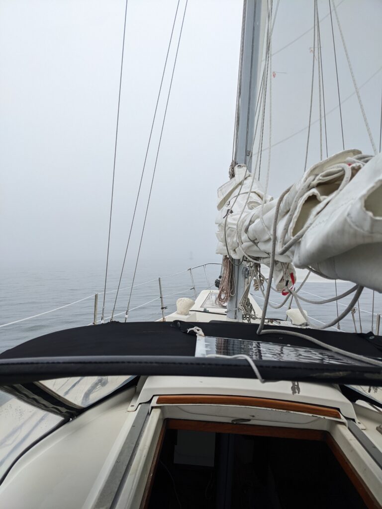 pxl 20221025 172112253