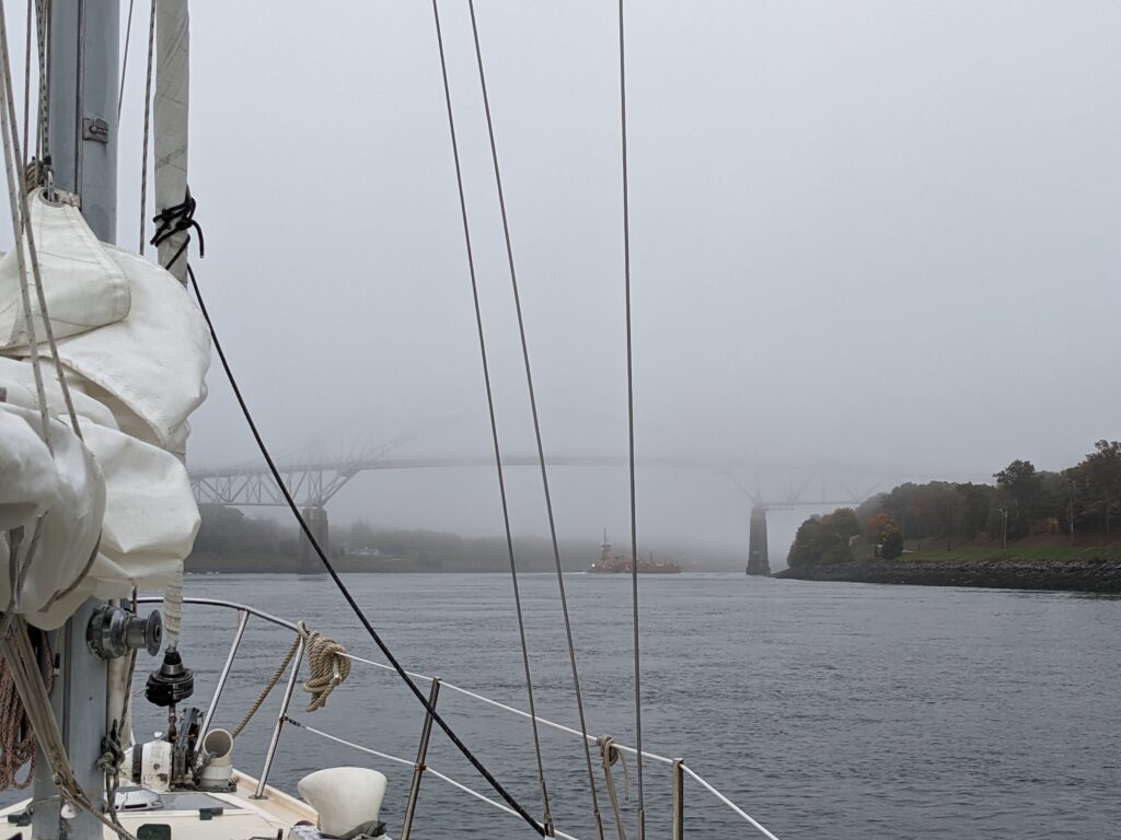 pxl 20221025 211058678