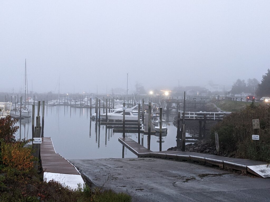 pxl 20221025 214737987