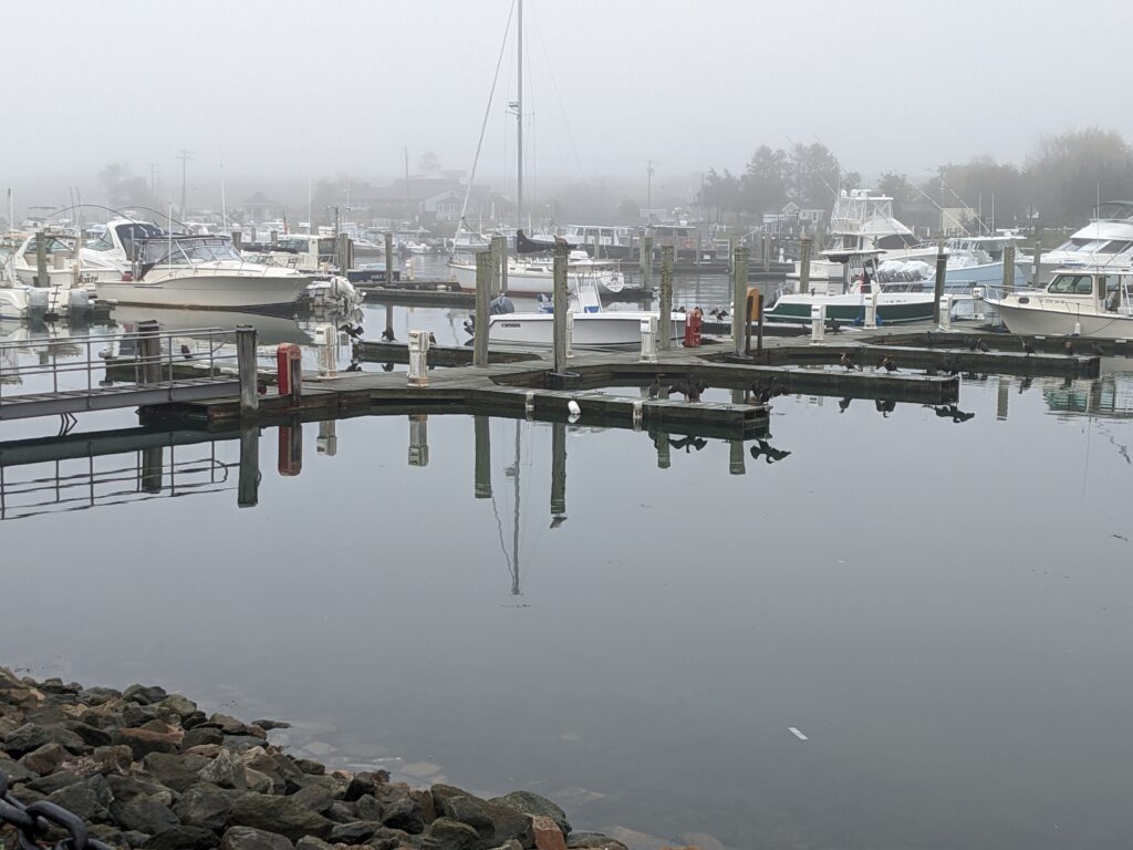 pxl 20221026 165717659