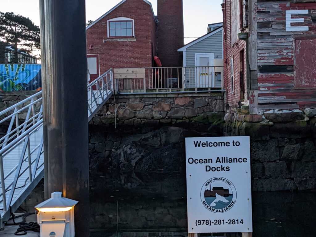 pxl 20221030 105241567