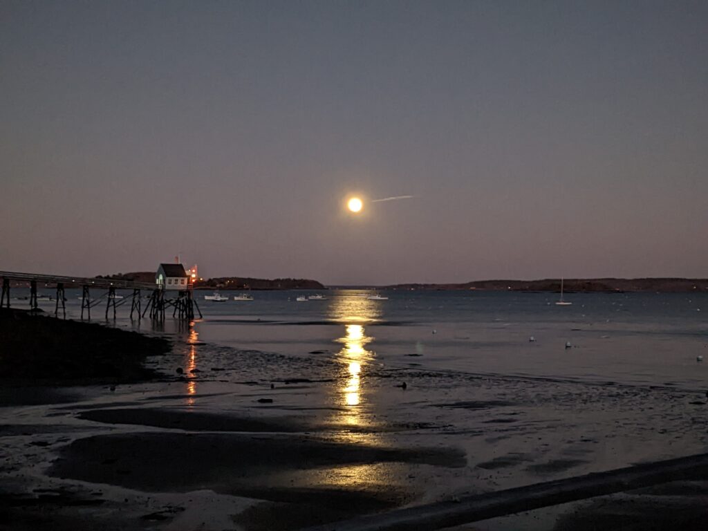 pxl 20221108 215846037