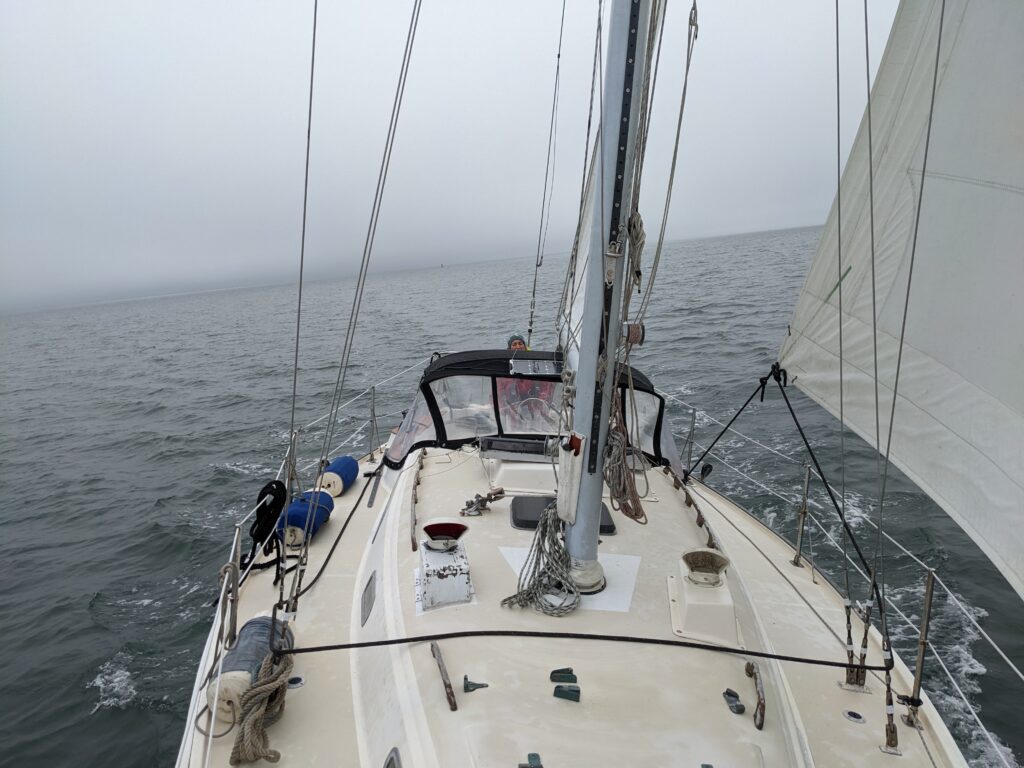 pxl 20221025 180315165