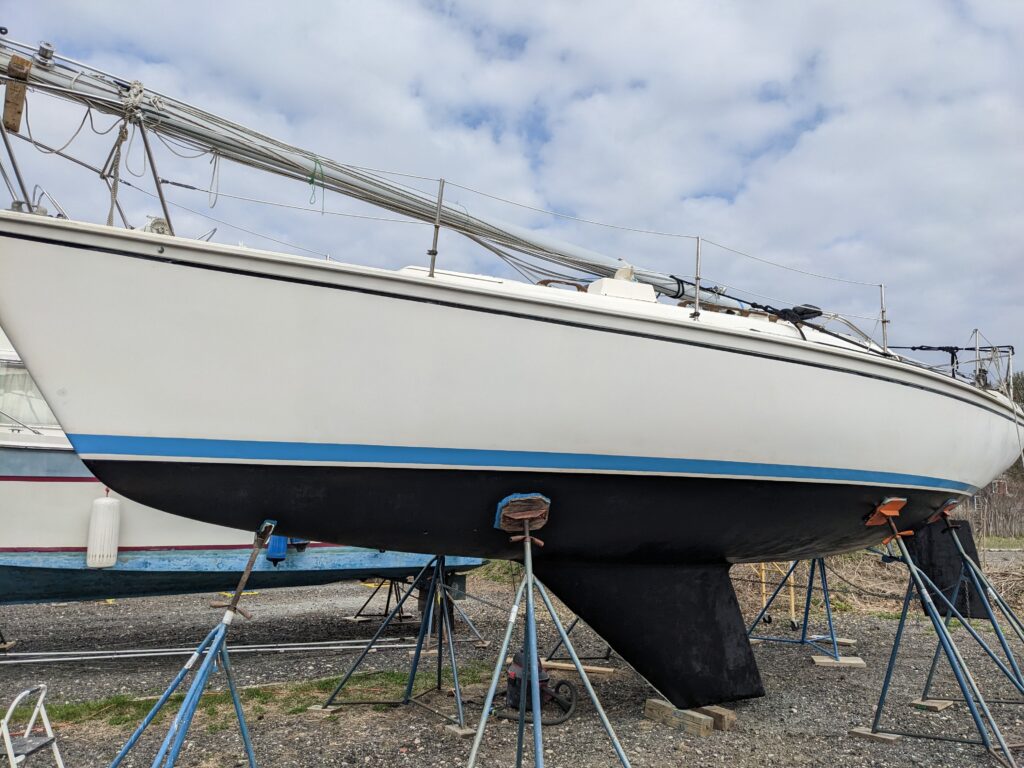 pxl 20230422 195204956